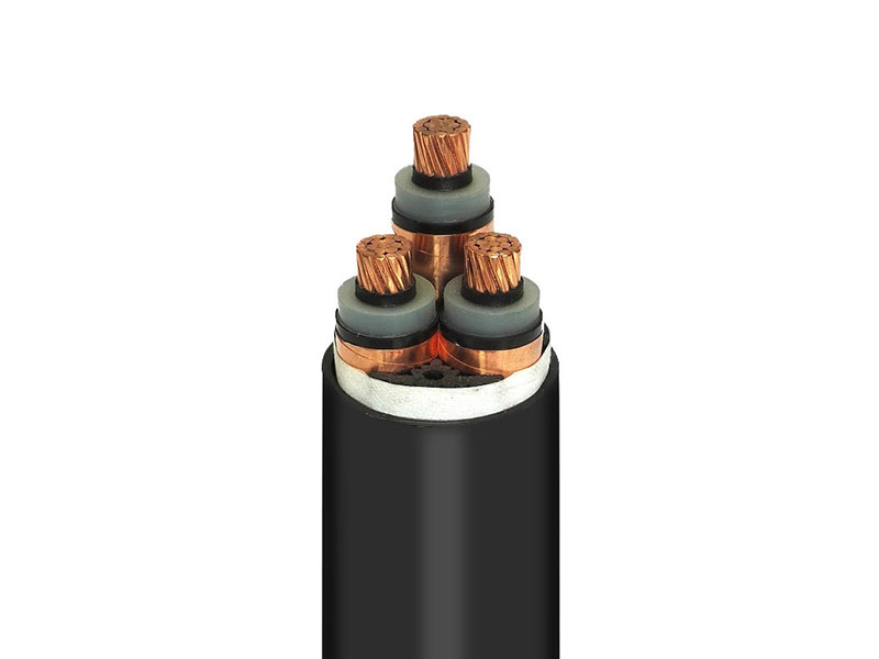 6kV-35kV交聯(lián)聚乙烯(xi)絕緣電(diàn)力電纜(lǎn)